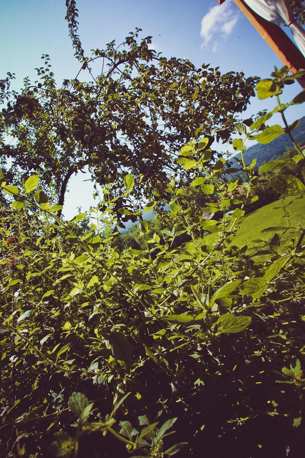 Mietowy Aniol Villa Ustrzyki Dolne Luaran gambar