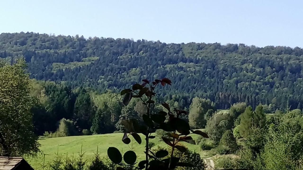 Mietowy Aniol Villa Ustrzyki Dolne Luaran gambar