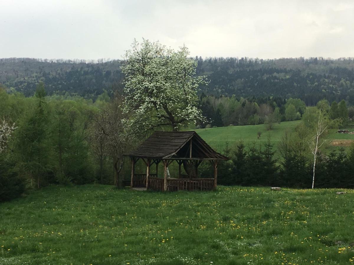 Mietowy Aniol Villa Ustrzyki Dolne Luaran gambar