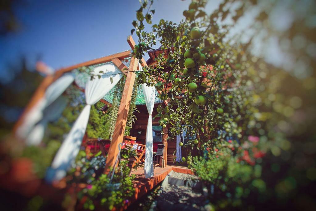 Mietowy Aniol Villa Ustrzyki Dolne Luaran gambar