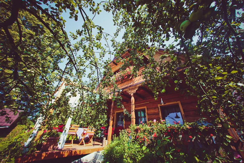 Mietowy Aniol Villa Ustrzyki Dolne Luaran gambar