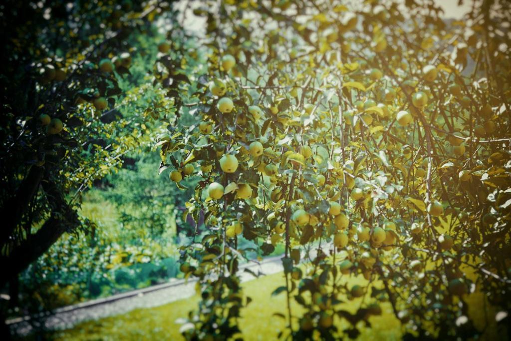 Mietowy Aniol Villa Ustrzyki Dolne Luaran gambar